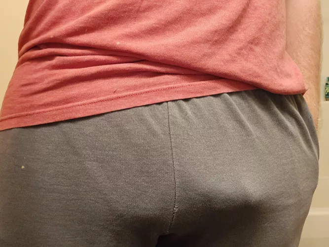 First time poster here in this sub by Ok-Bear-1317