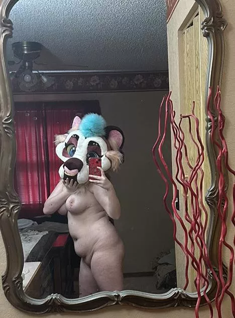 Have a tiny kitty pic for your wait!~ posted by Pumagal