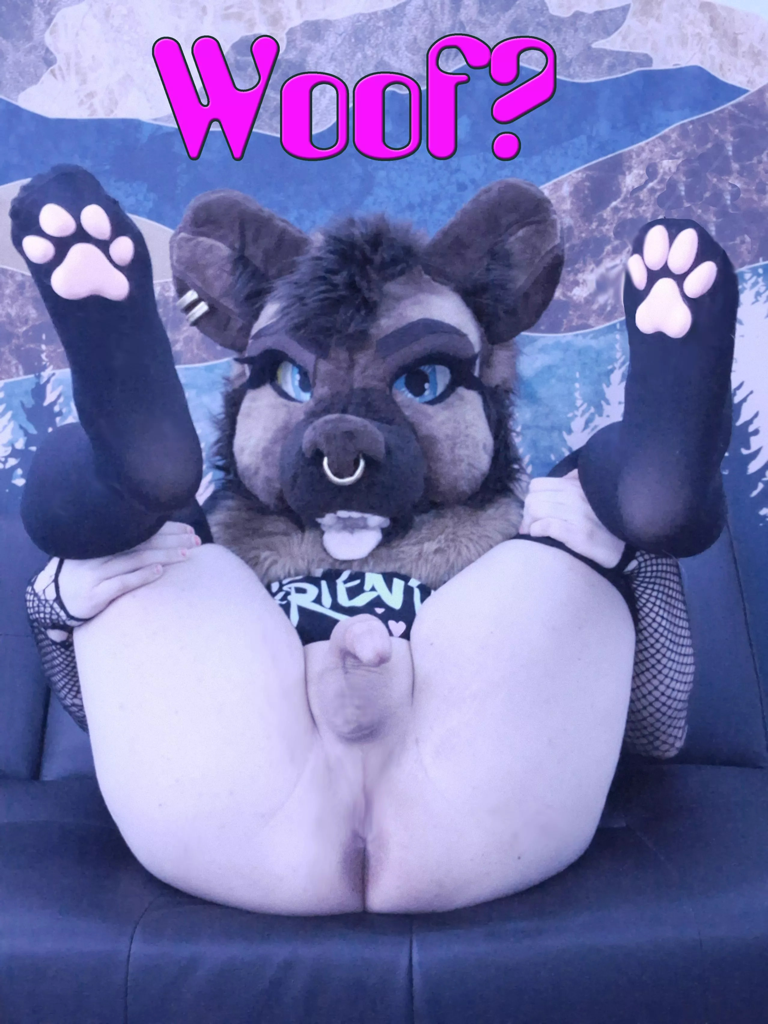 hey hey hey hey guess what posted by FoxYeen