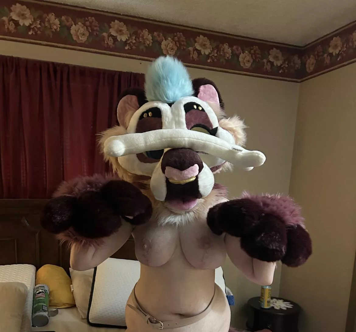 I may be a puma, but I’ve got tricks too!~ posted by Pumagal