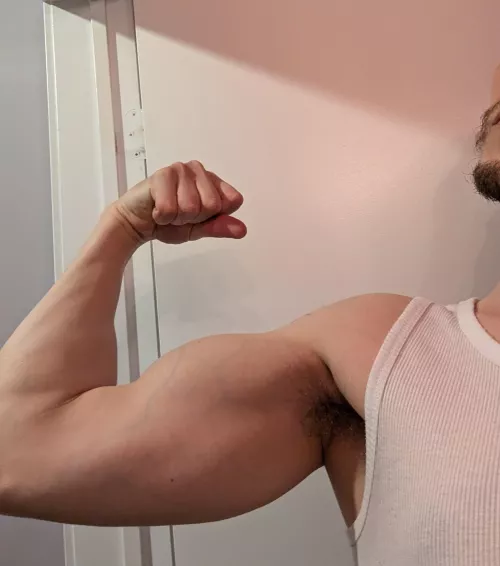 just my humble pit  by DeirdreDreidel