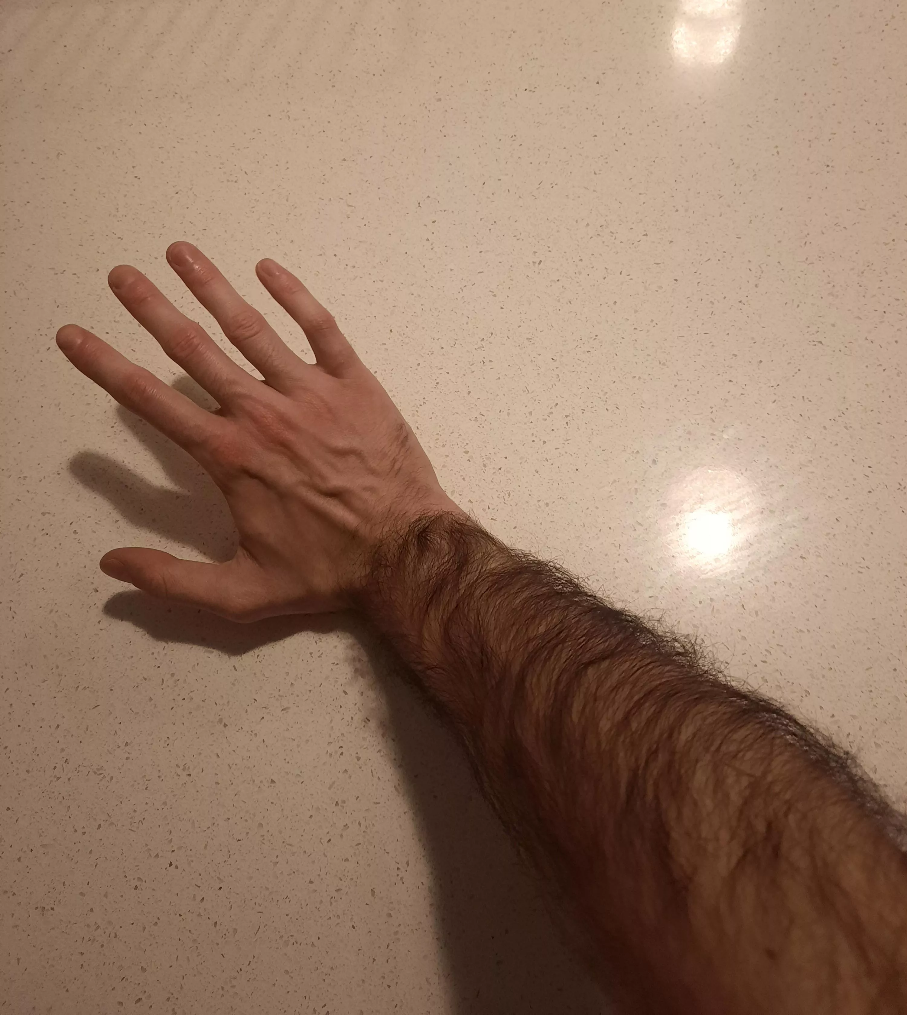 Pet my arms posted by bludrevenge