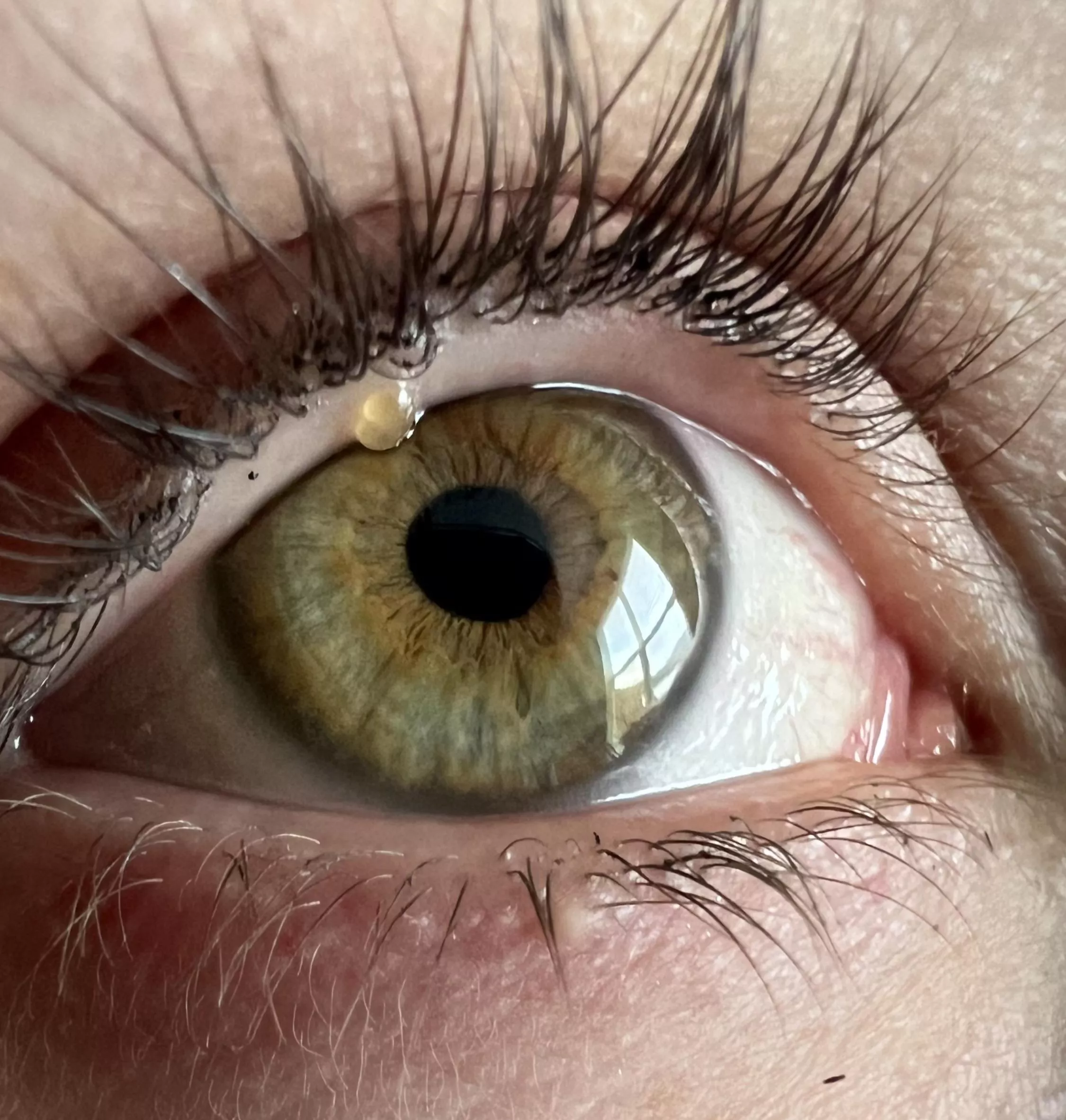 Forbidden pop on water line.  posted by jrdnhdsn