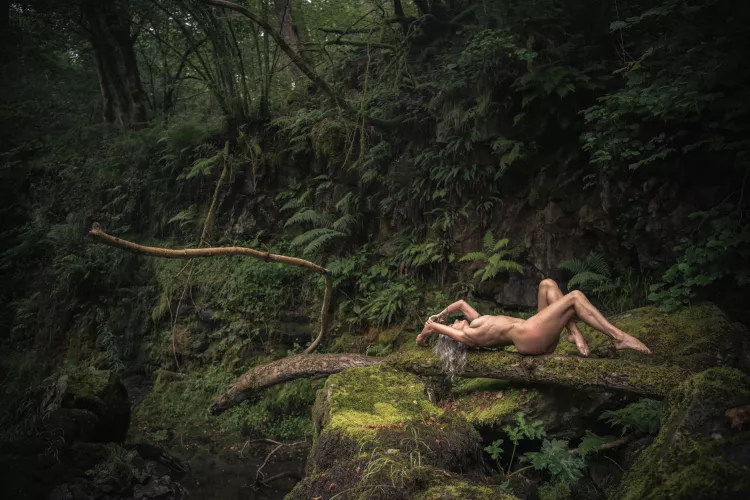 Making the most of deadfall in the Brecon Beacons  by HelenSaunders