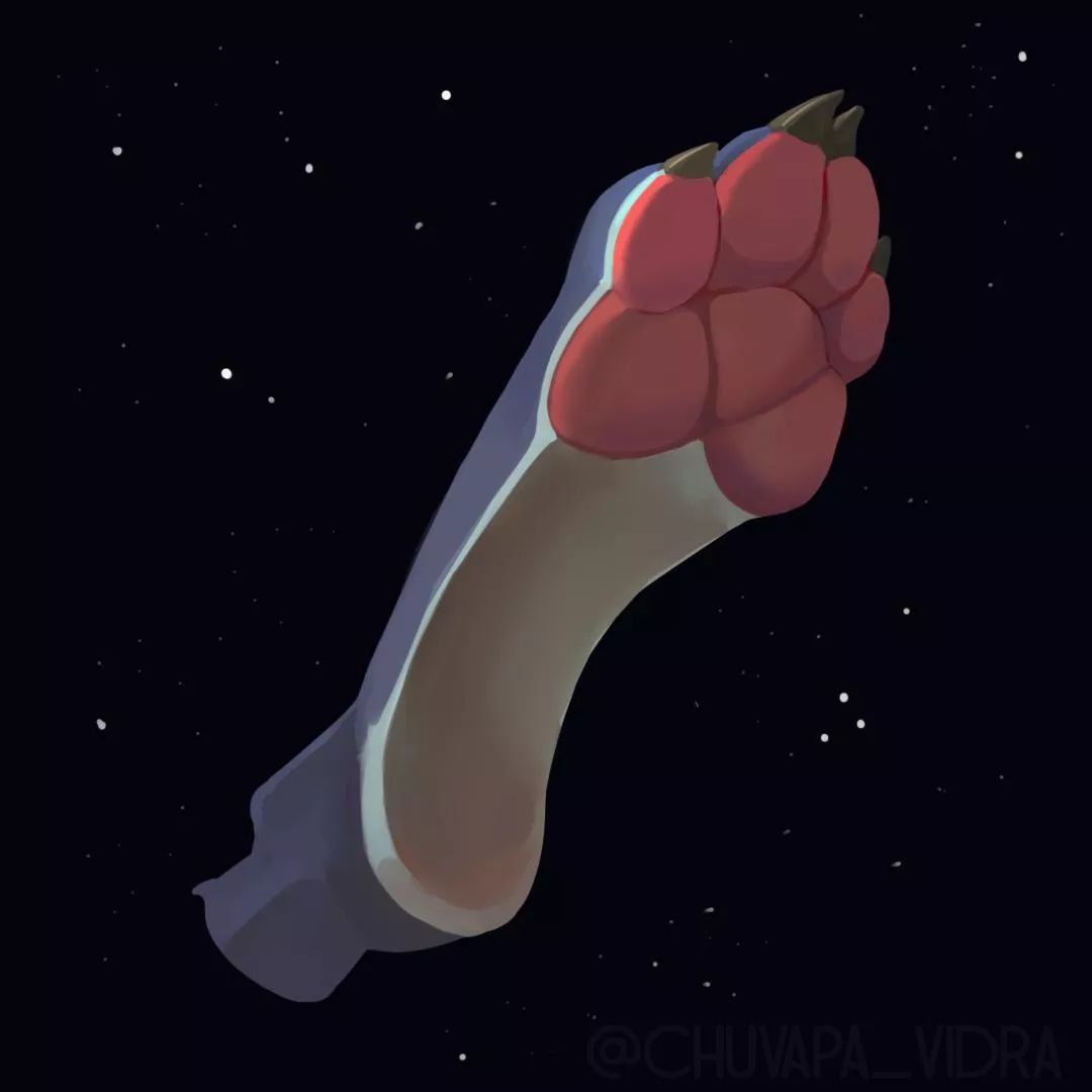 Paw study (art by me @chuvapa_vidra) posted by chuvapa_vidra
