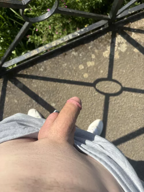 Suck me on the bridge by Plastic-Mirror-3633