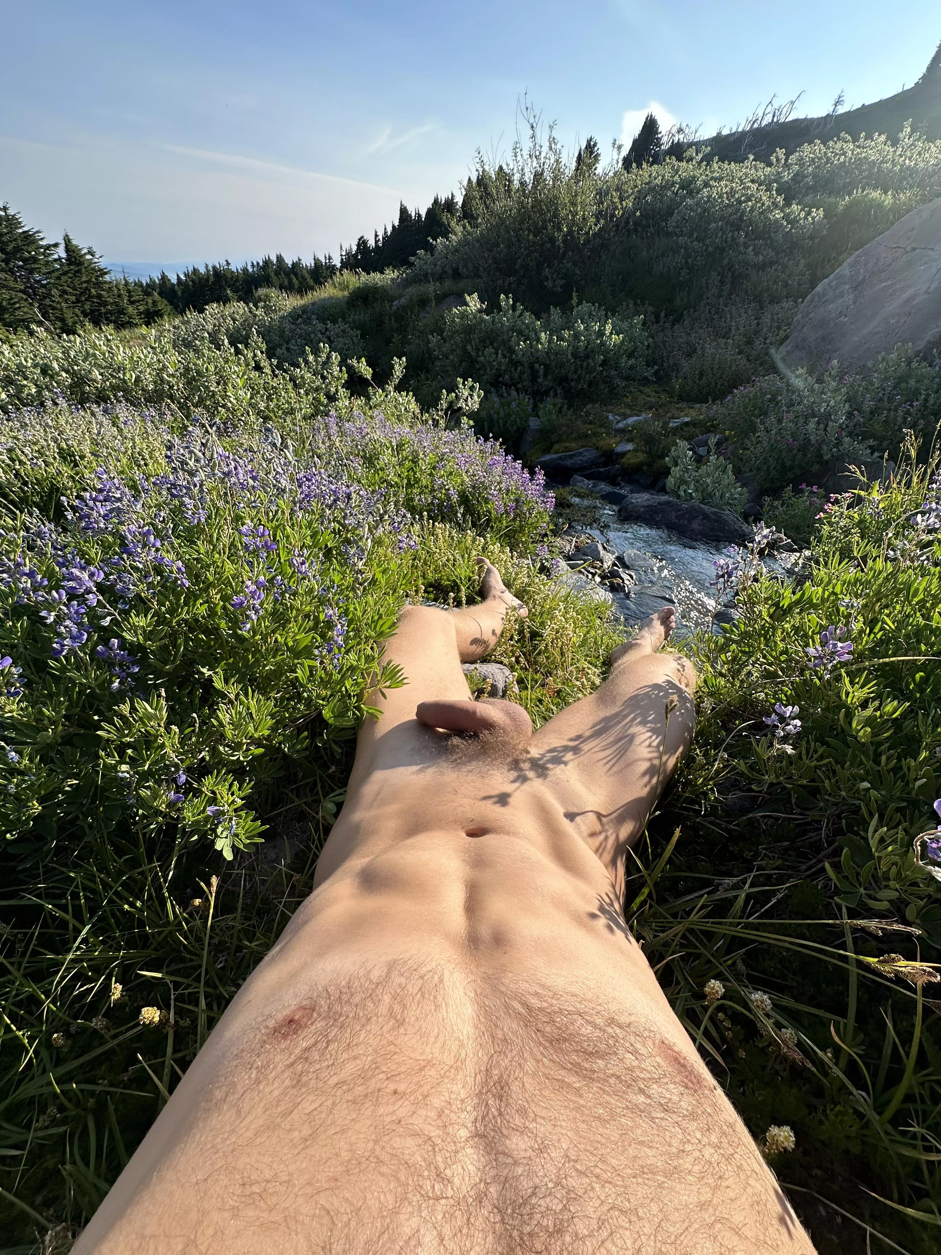 What a Blossom posted by Icy_Scholar_7254