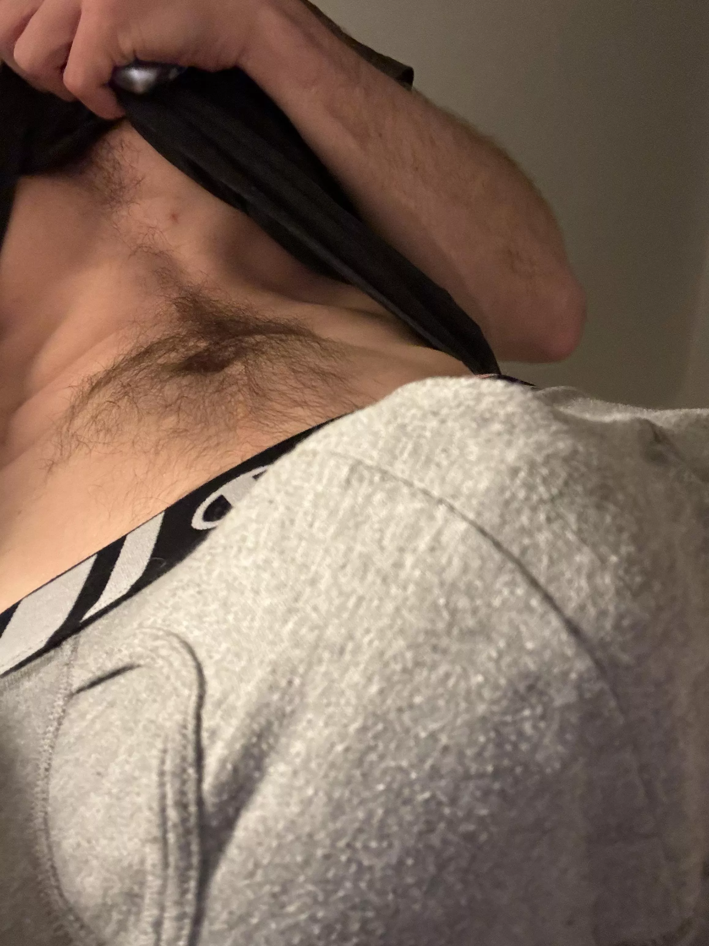 You probably want a sniff, don’t you? posted by Icy-Fill1488