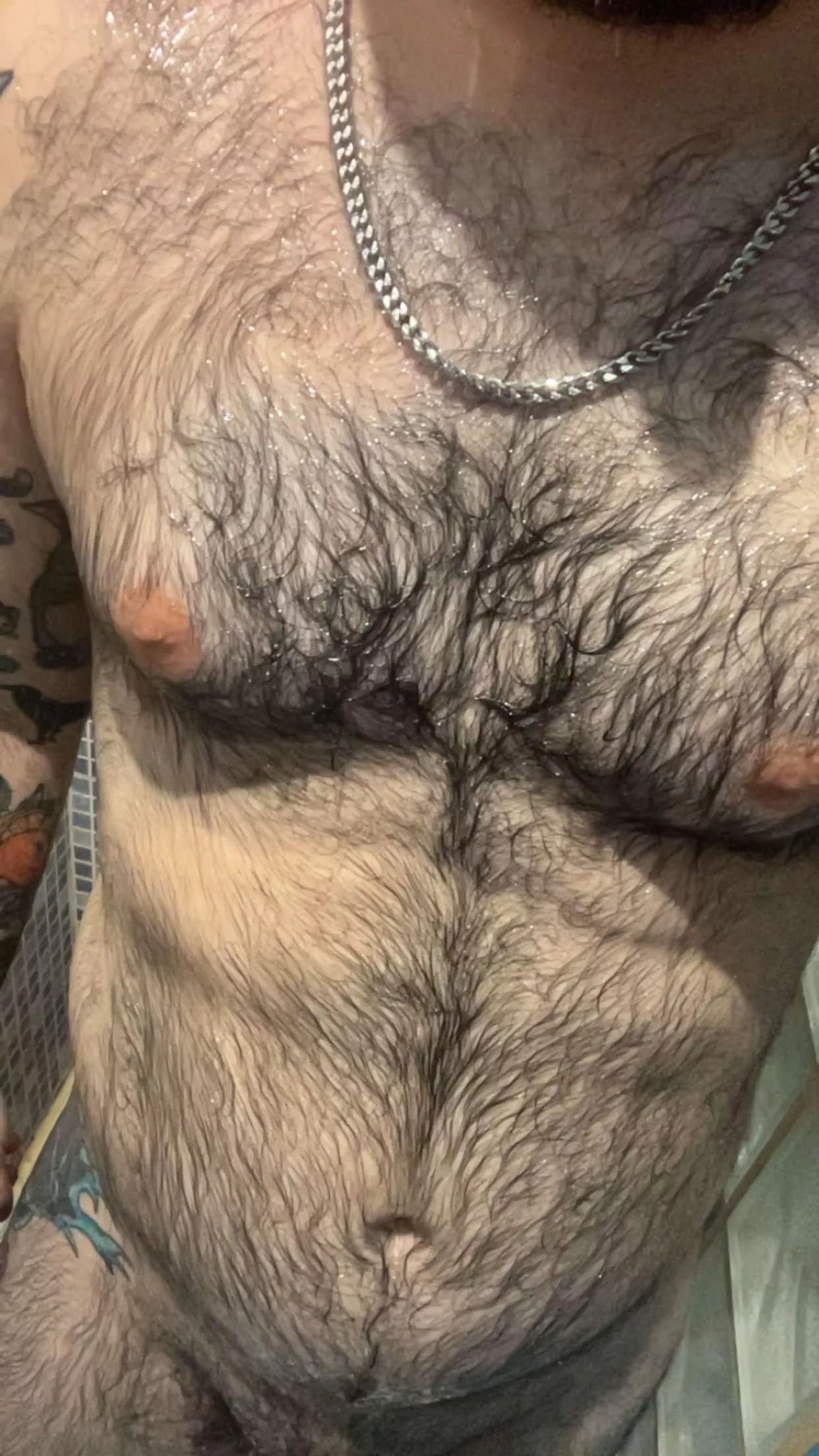 33 bear dad bod from spain looking for jerk buddies. Face++++ Hairy+ thicc+ uncut++ sc xorxingus posted by Drippy-Deek