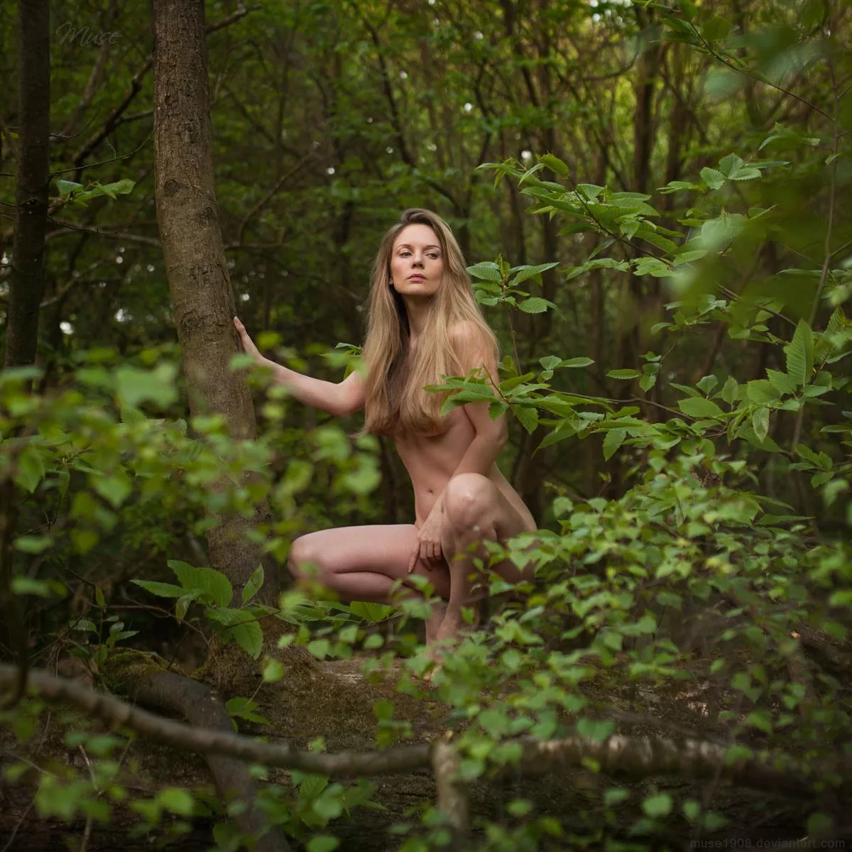 A muse among the trees posted by woodyeverhard