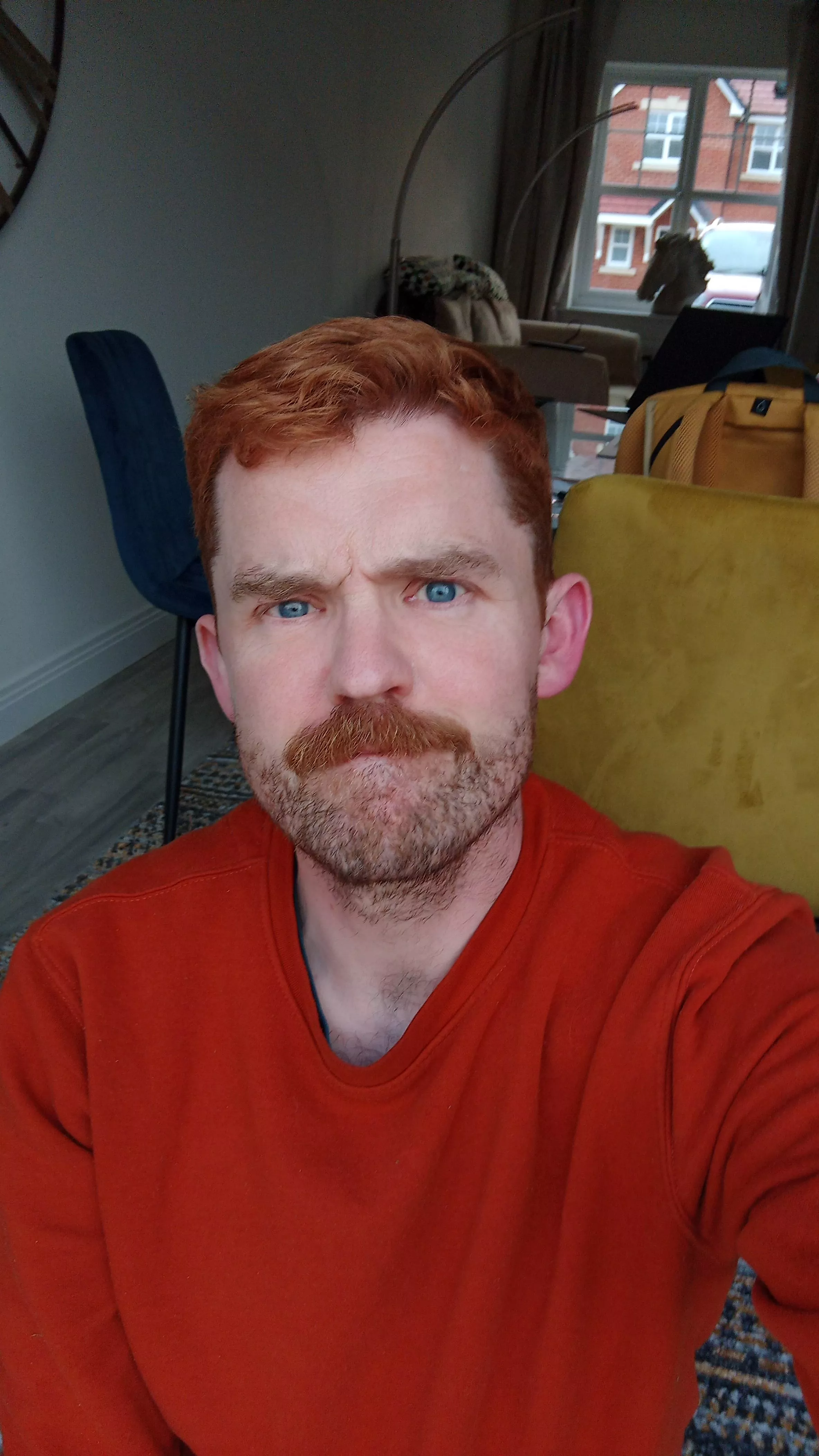 Dogsitting face. posted by d139nn