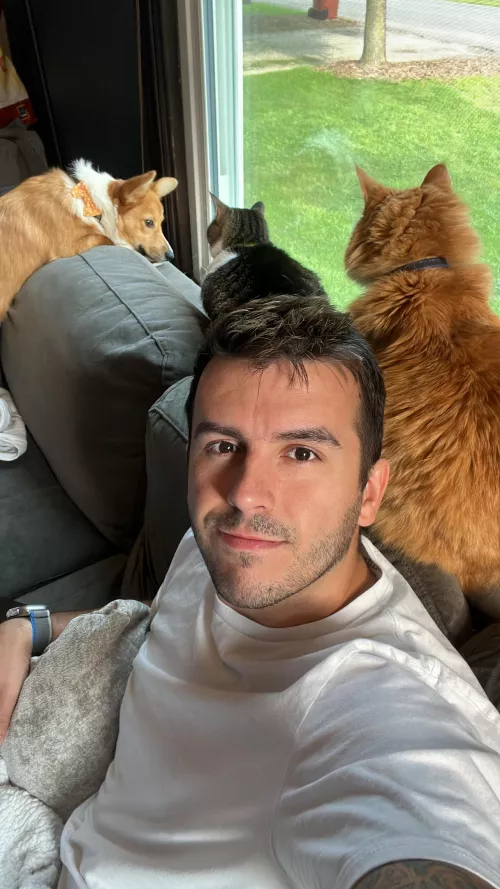 Everyone wants the window seat by lKipzl