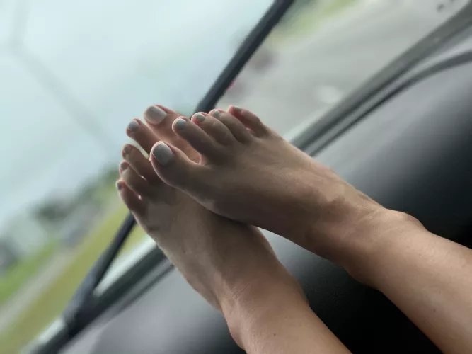 If these are on your dash I hope your hand is on my pussy while driving by ktcoxx