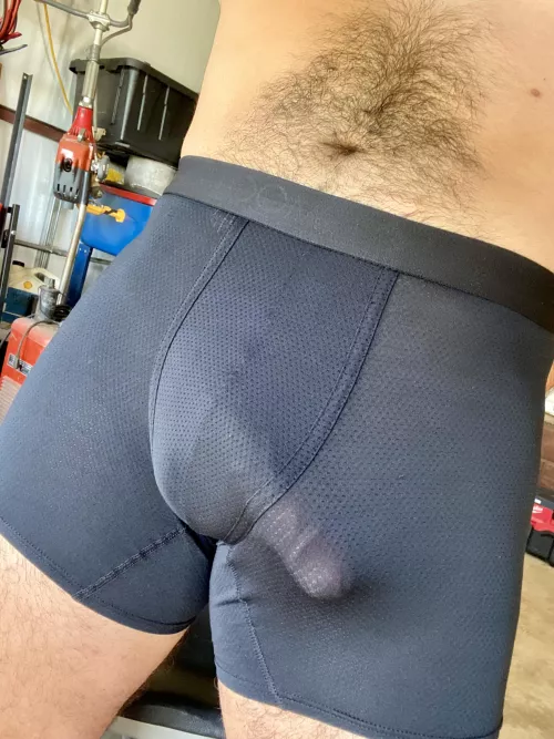 Kinda hard to hide by CoffeeDisastrous7930