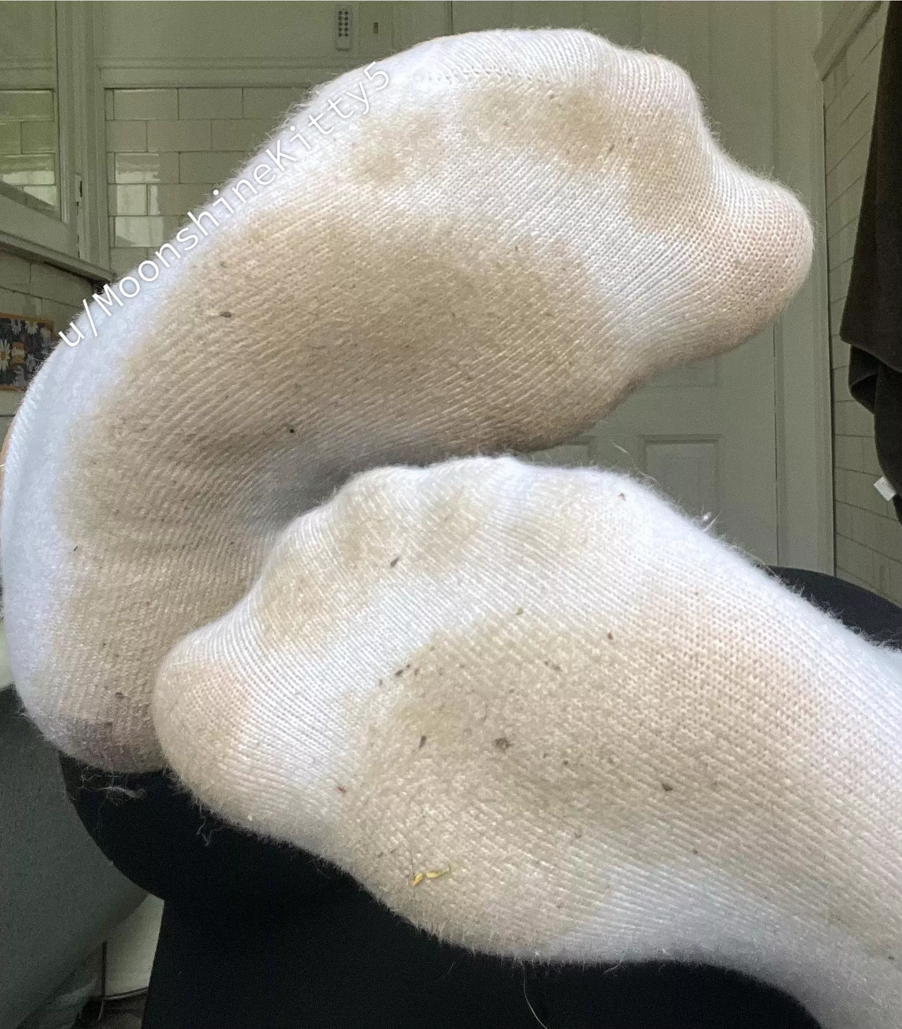 My footprints belong on your face  posted by MoonshineKitty5