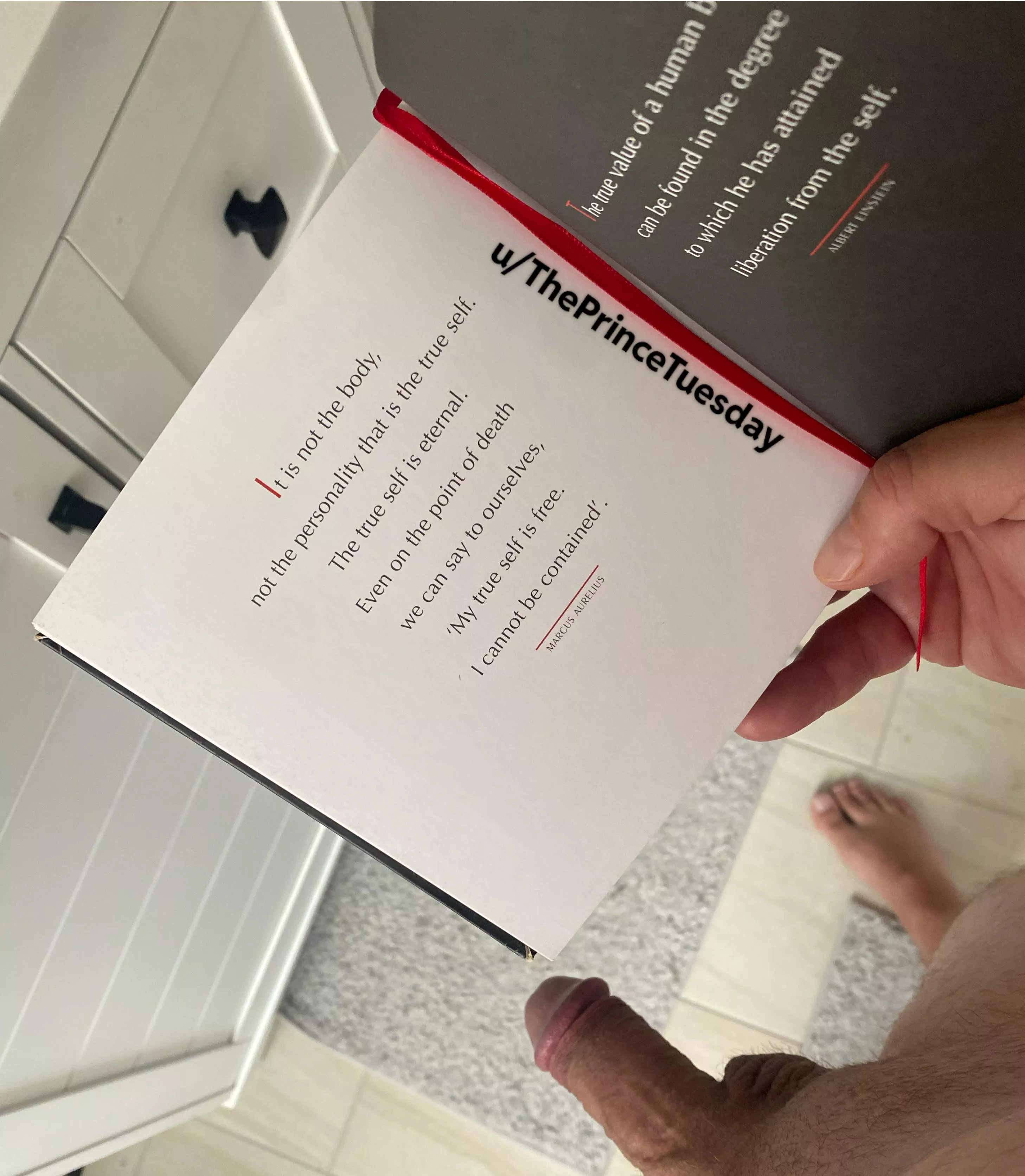 The essence of Zen - today’s inspiration! 📚😉 posted by ThePrinceTuesday