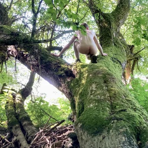 Tree Pose Tuesday by Natural-Free-Self