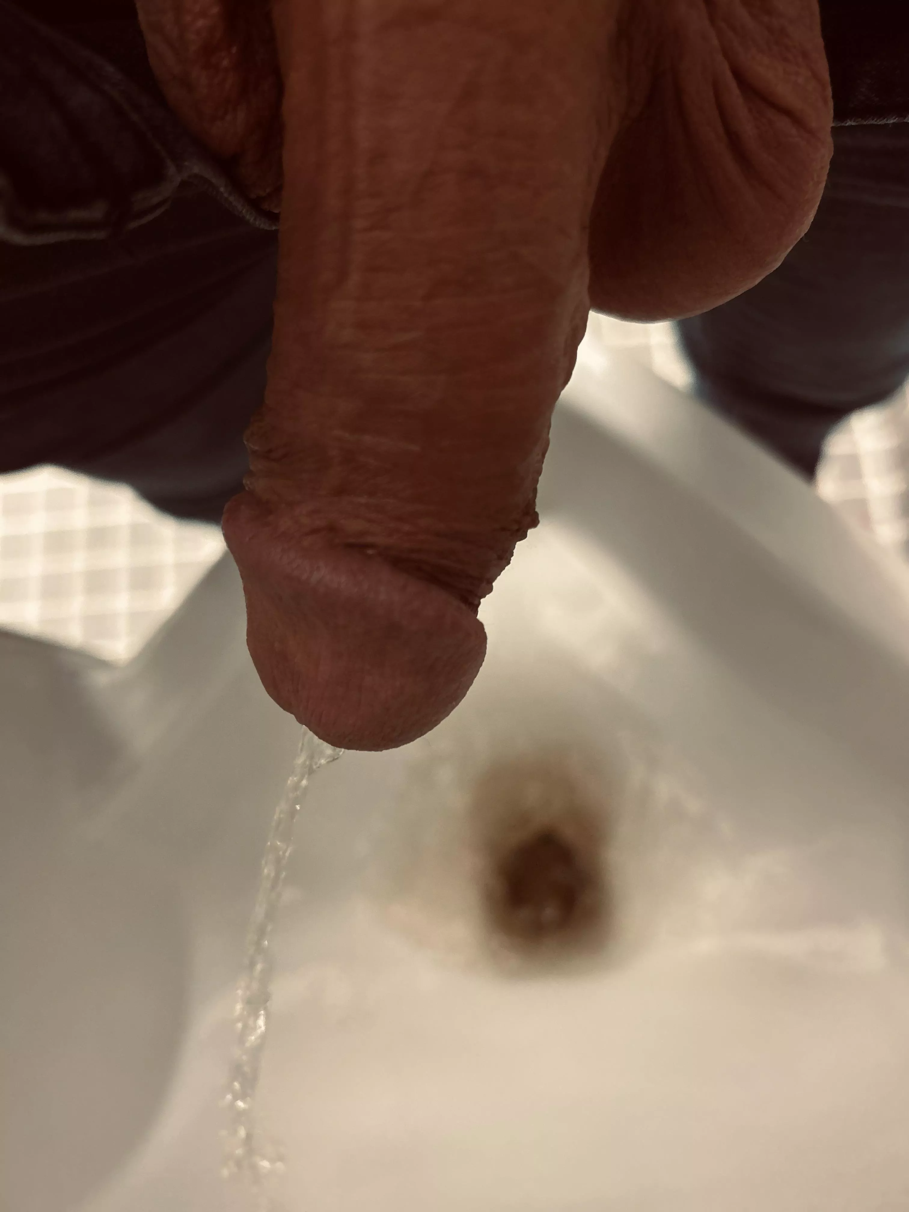 Tuesday tinkle posted by dapperbizguy4u