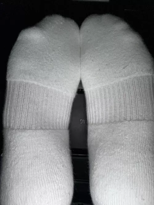 Wake up to these being pressed against your face by Your_sexysecret