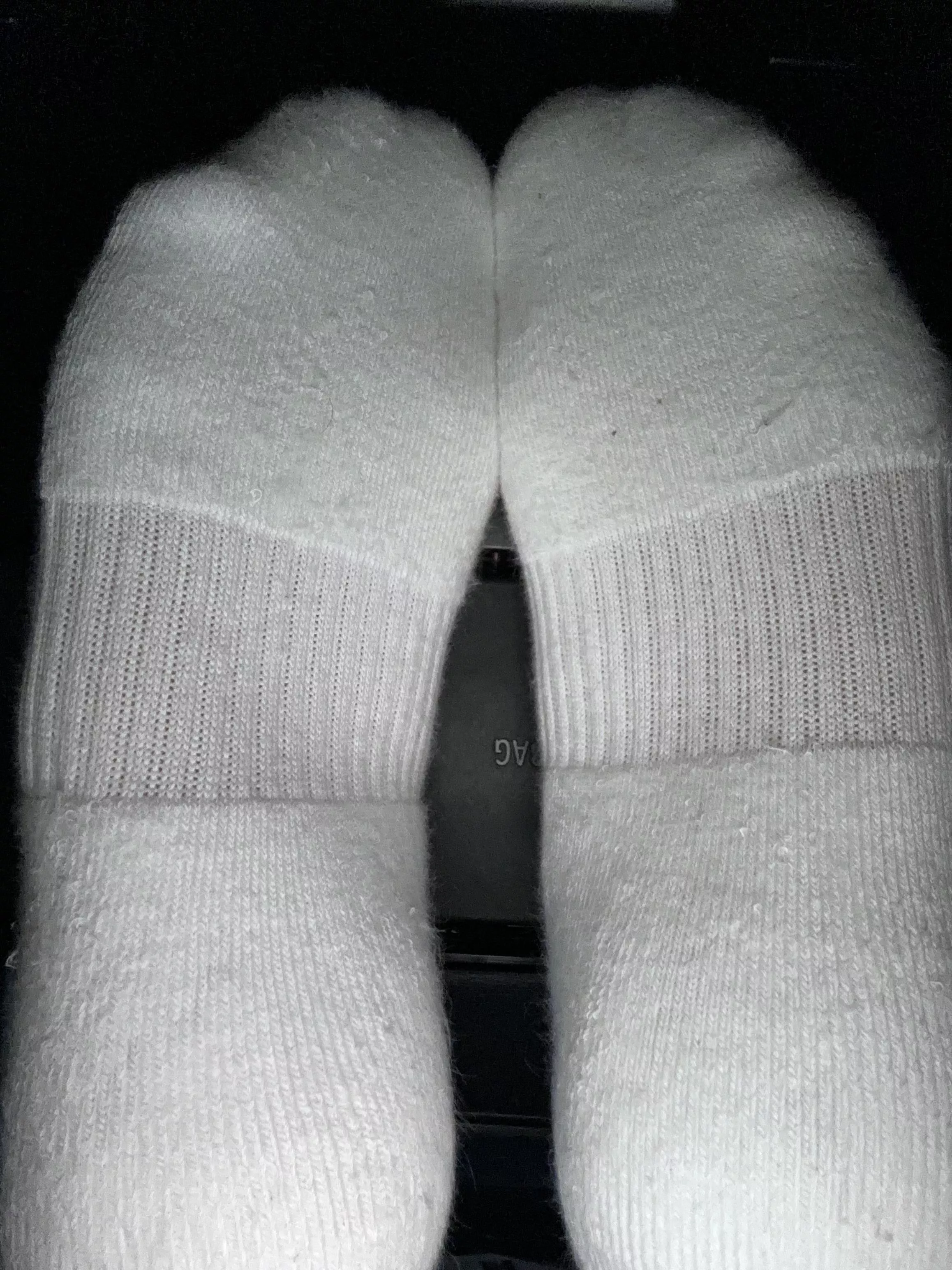 Wake up to these being pressed against your face posted by Your_sexysecret