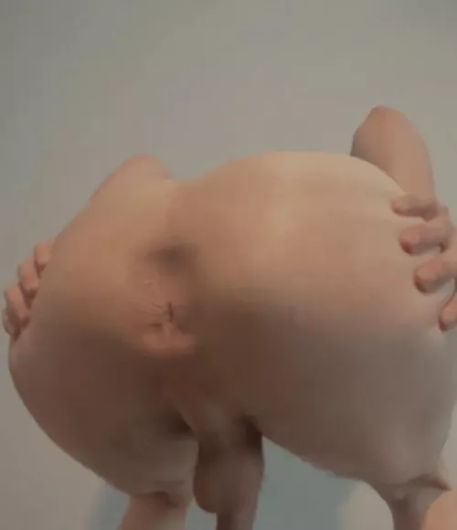 18 twerking for bigdicks , must show face !! @backup27789 by Own_Explanation_3268