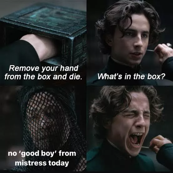 cant live without a good boy (in deep need for one right now) posted by Classic_Pain6843