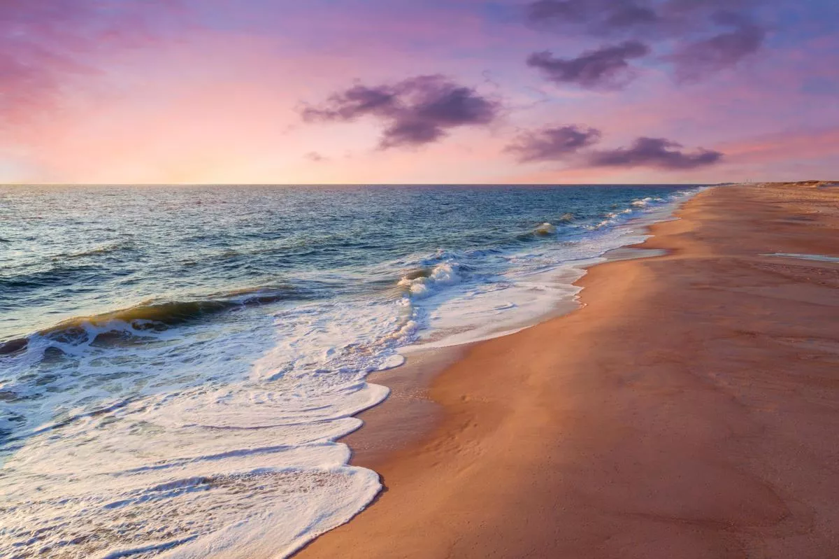 Delaware Beaches ‏
 posted by Agreeable_Box3643