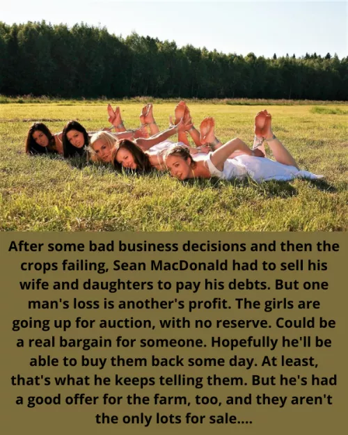 Farm Sale by HighlandBull18