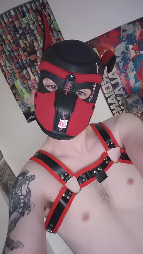 I'm bored x) by Nouchann