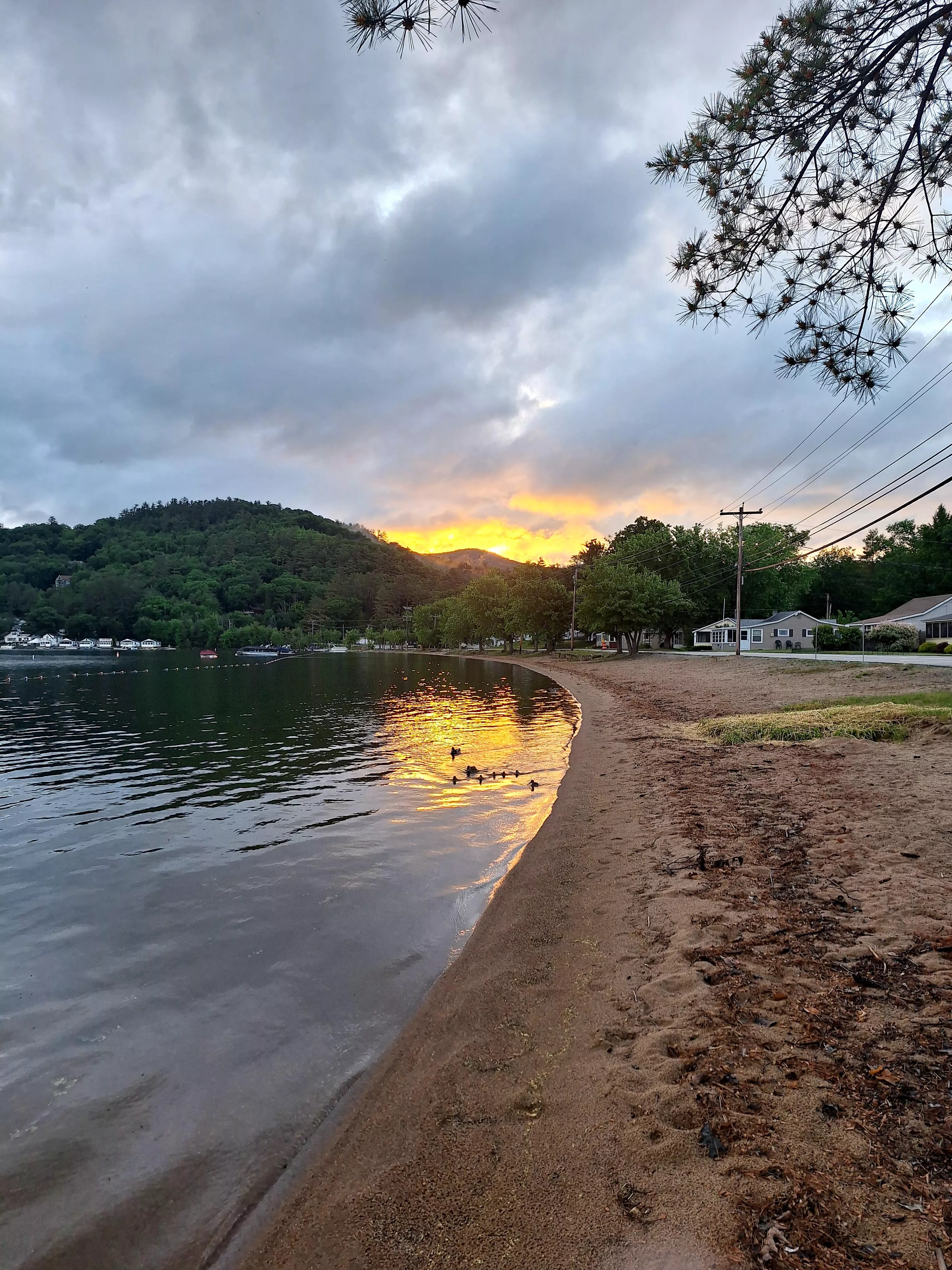 Its always gun seeing the baby ducks with there mothers  posted by Beautifullady4