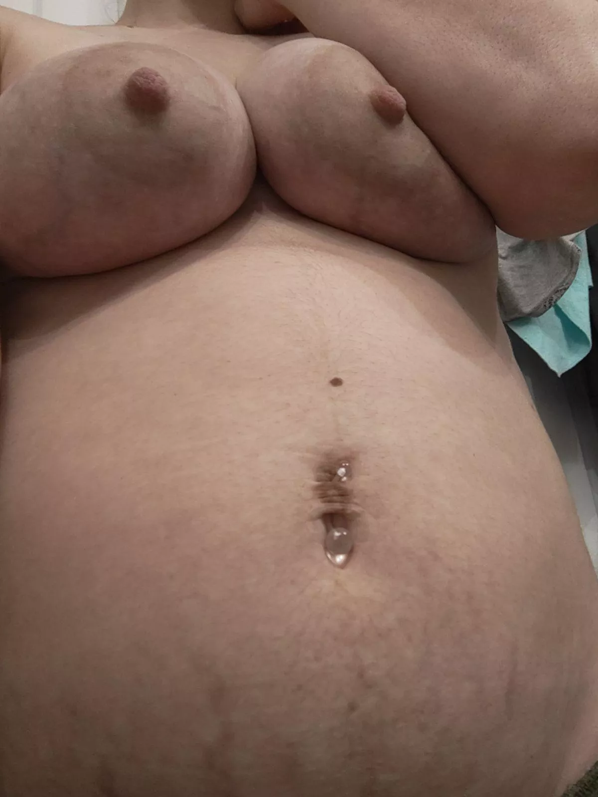 just found out I'm preggo again after my last pregnancy 2 months ago and it's not husbands...now unlimited creampies from bulls for the next 9 months posted by PreggoFox