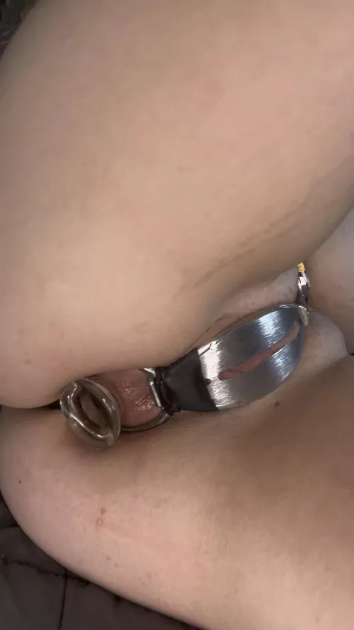 Locked and stuffed like a good little slut should be 😈 by distractedsubpenguin