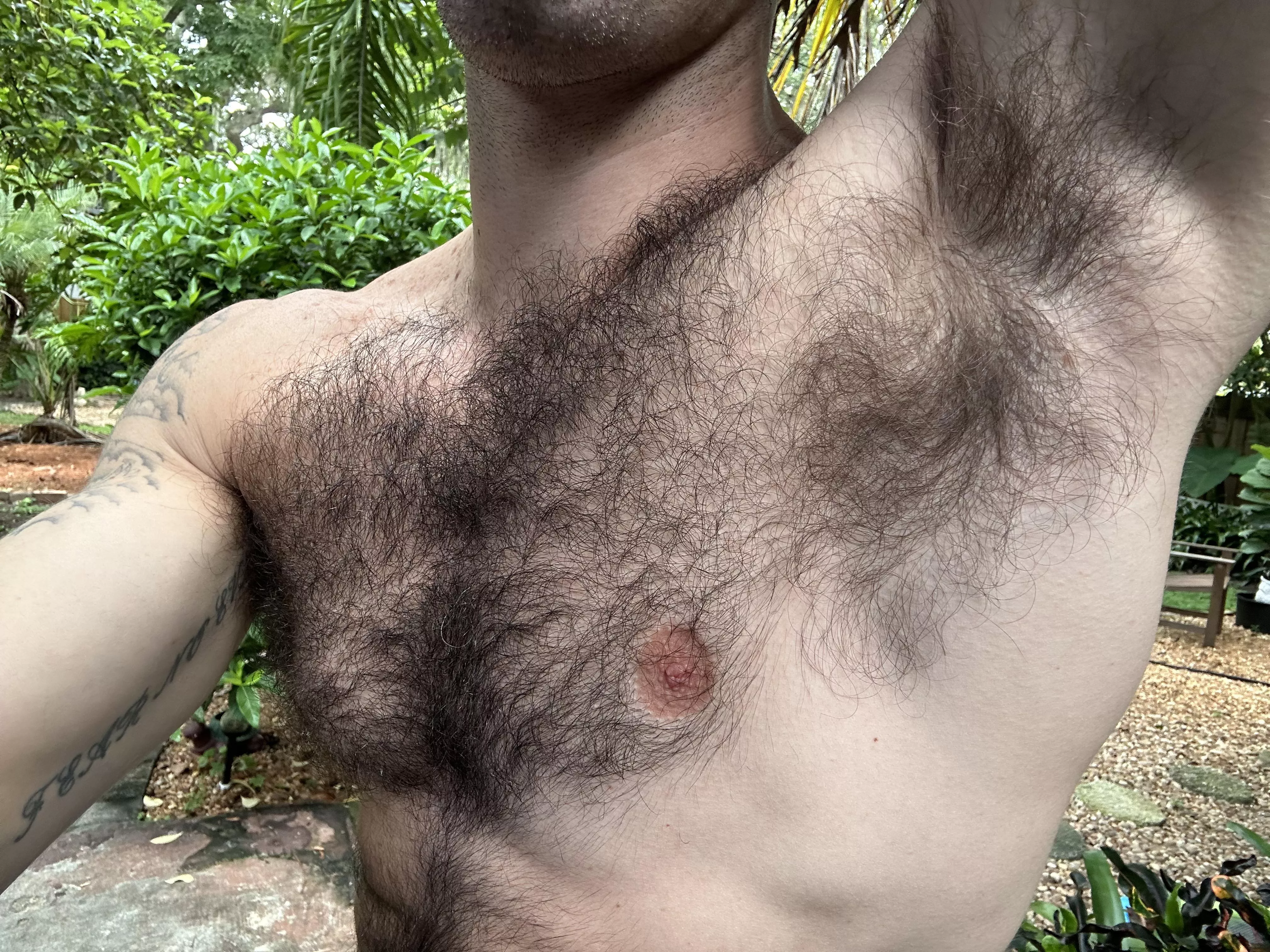 Need a tour guide for the nature trail? posted by wadebiggs3