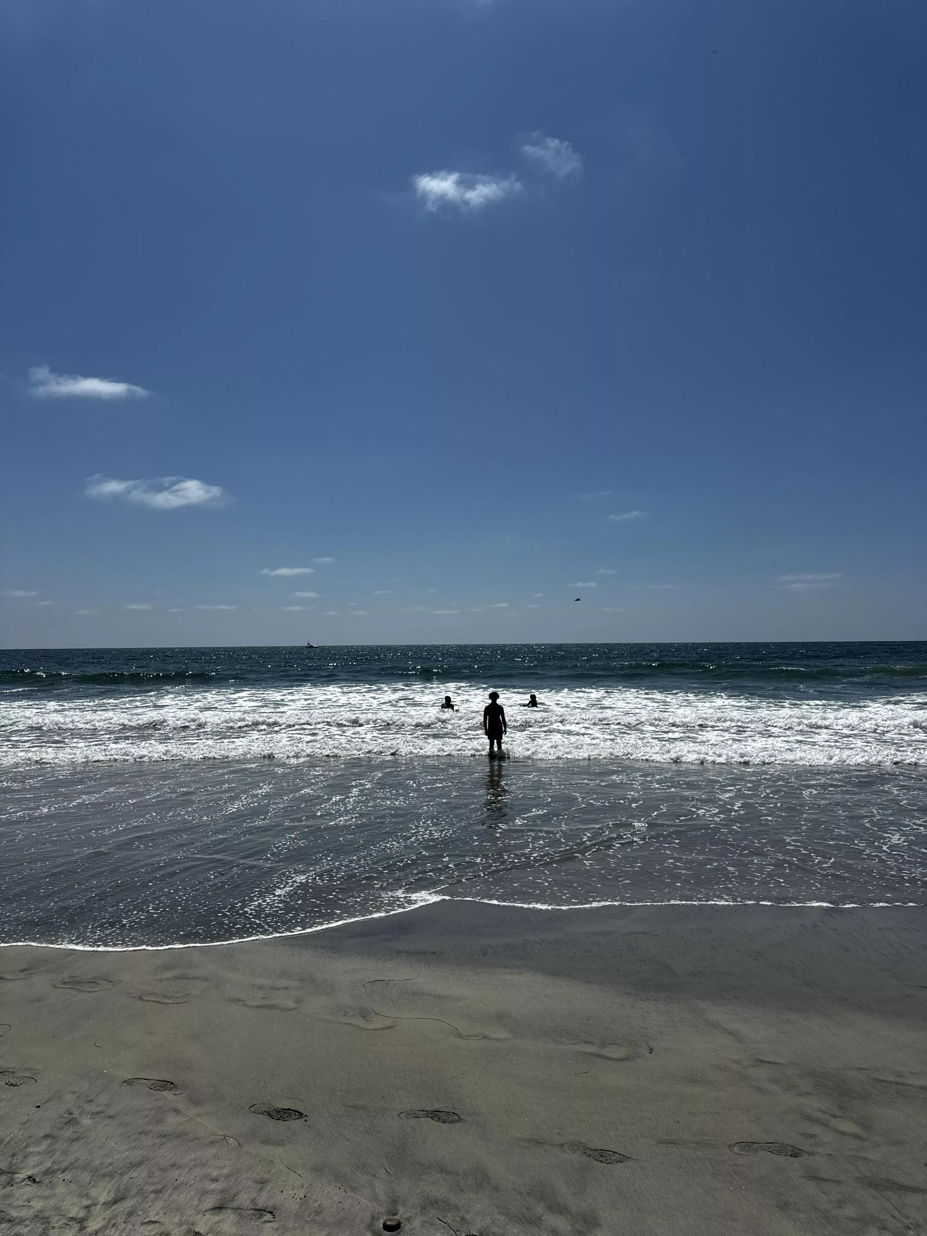 San Diego CA posted by Practical-Juice9549