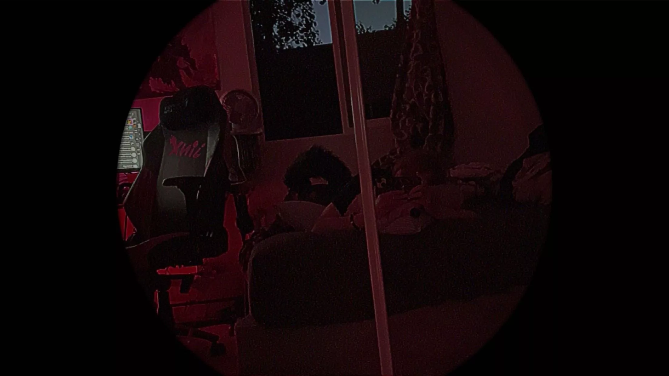 ✨ Spot the dog. Easy mode :P ✨ posted by puppie_wuppie_w00fs