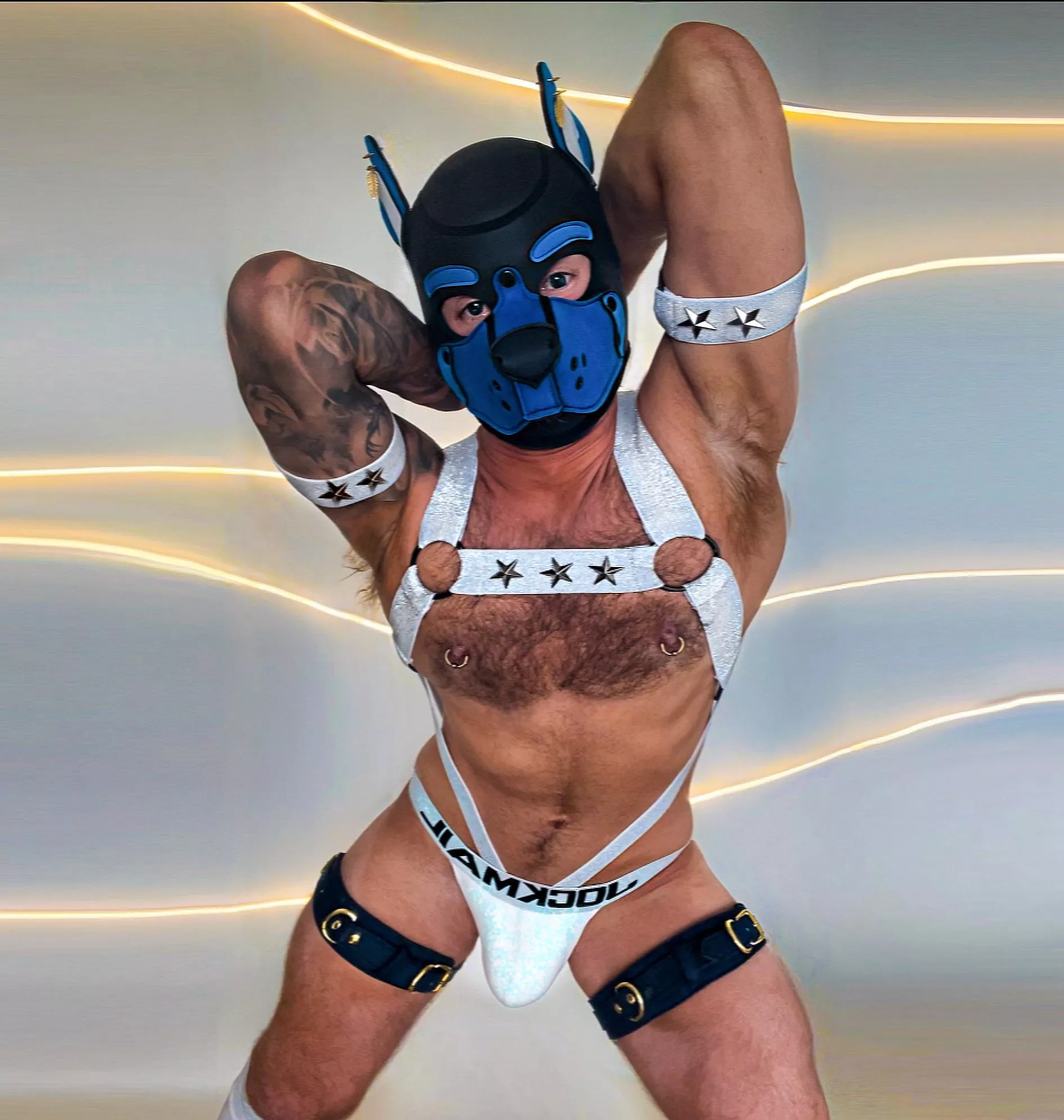 Stars & stripes forever 🐶 posted by Thepuppearce