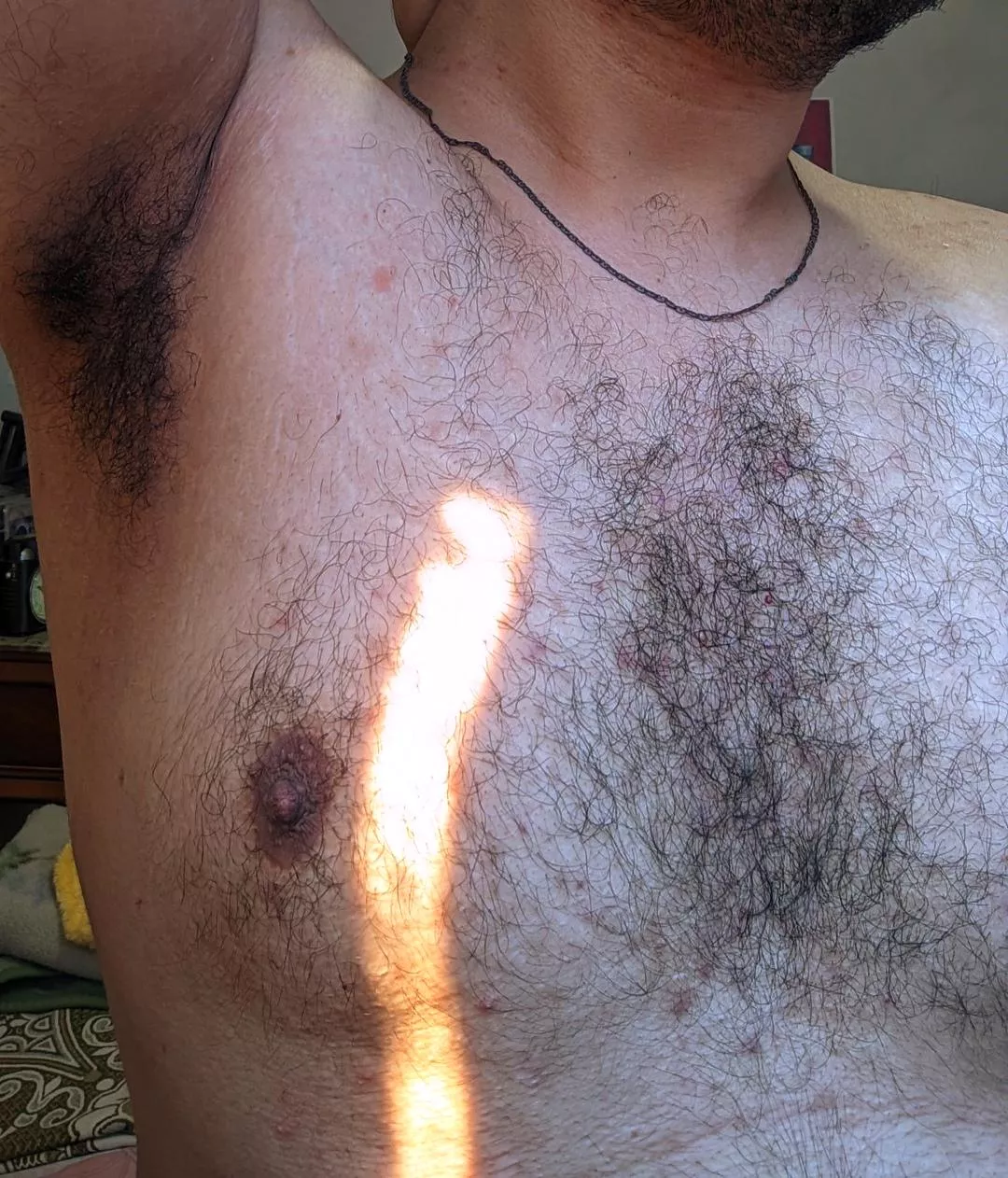 The smell is driving me nuts. posted by foxy_thebear