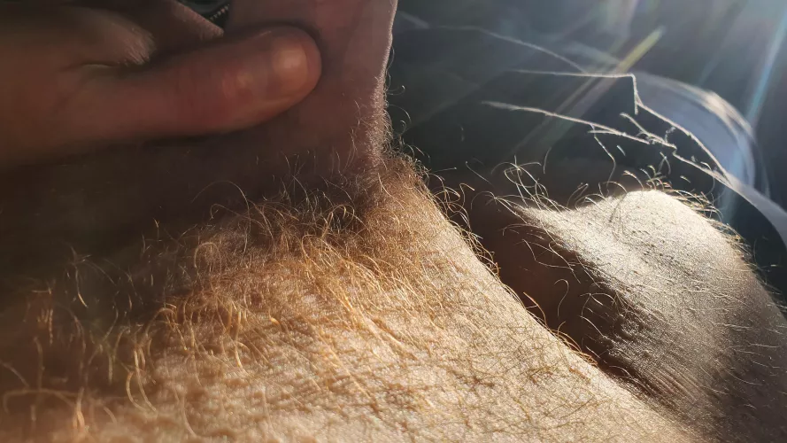 Afternoon sunbeams by SomeUnknownGinger