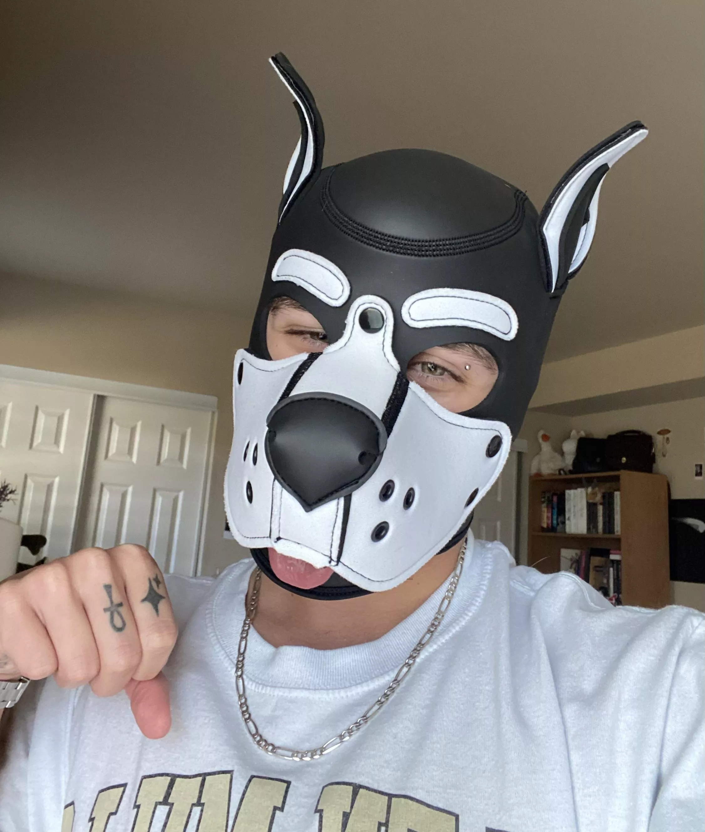 my small mr s hood comes tomorrow… excited to see the difference between the m and s size 🐶 posted by lunchpup