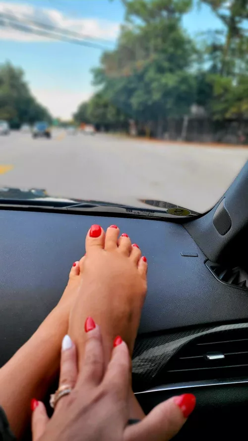 On the dash by TitsyWolf