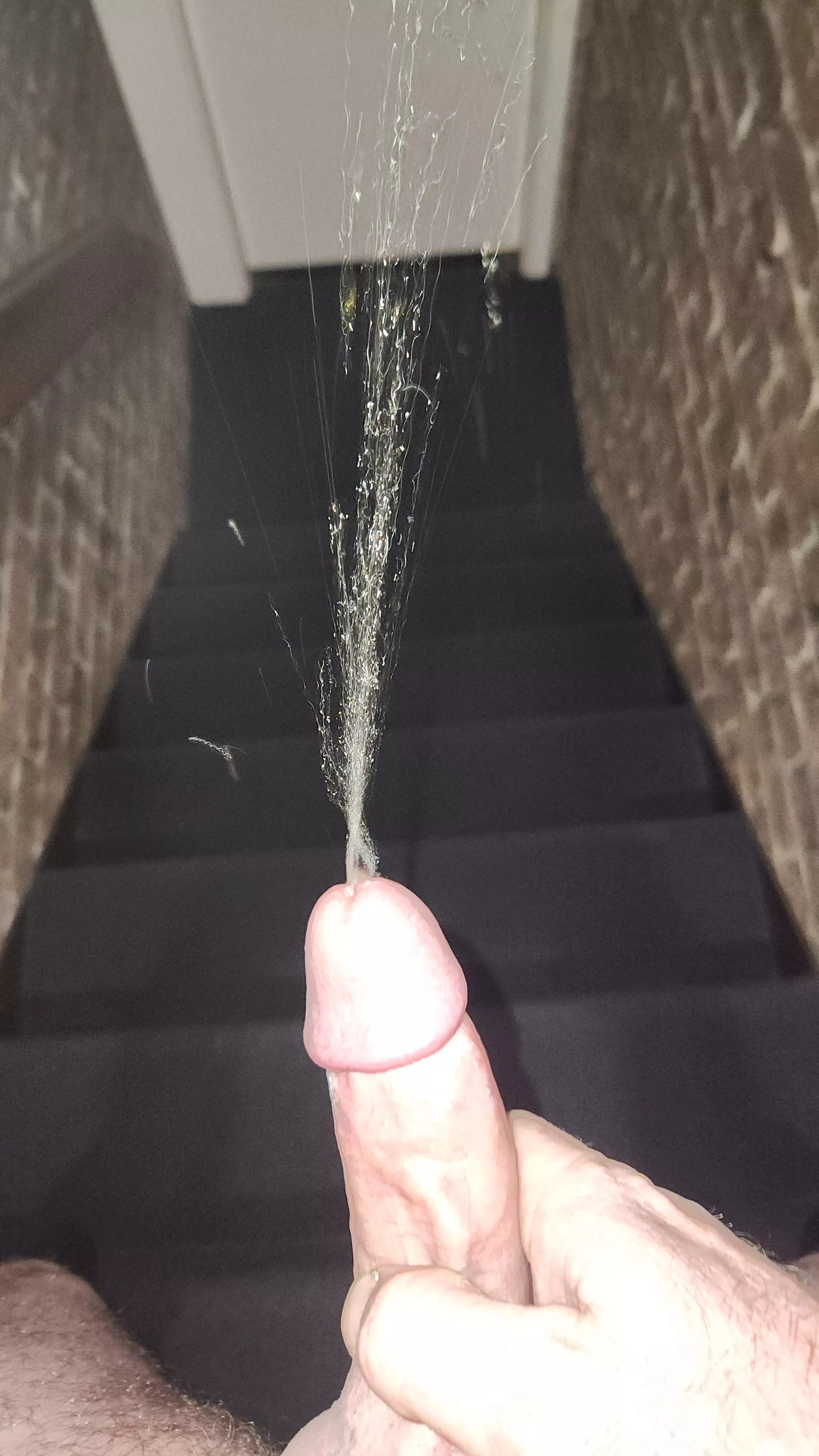 Stair piss explosion! posted by thenumptyone