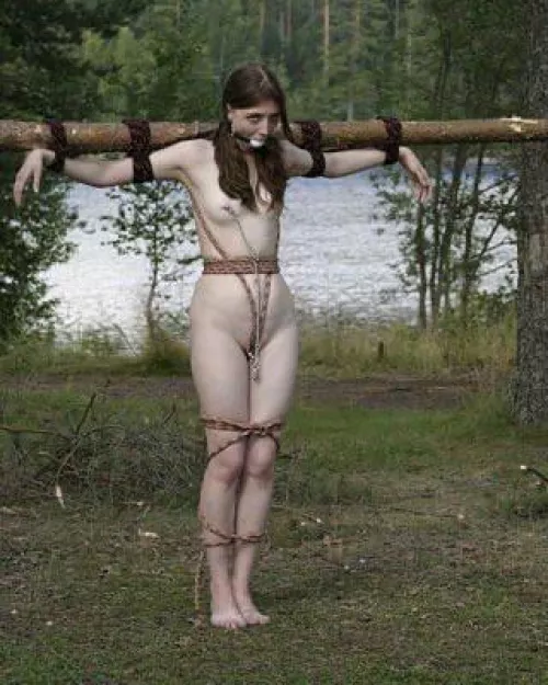 Unhappy yard ornaments  by Short_Split2947