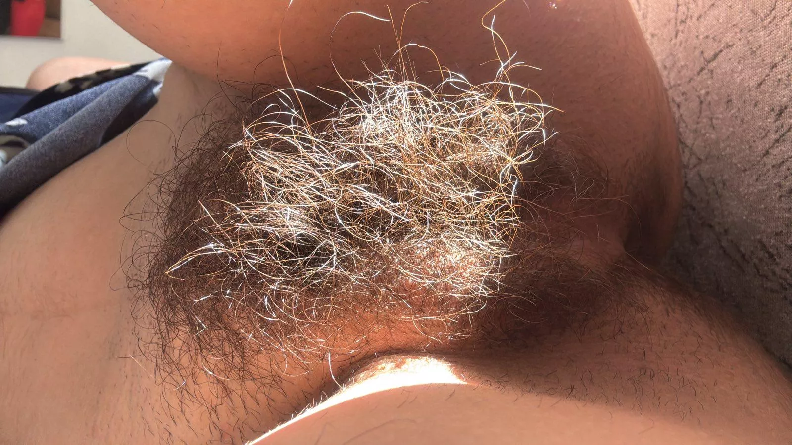 A little sunny bush never hurt nobody posted by lickedyslit