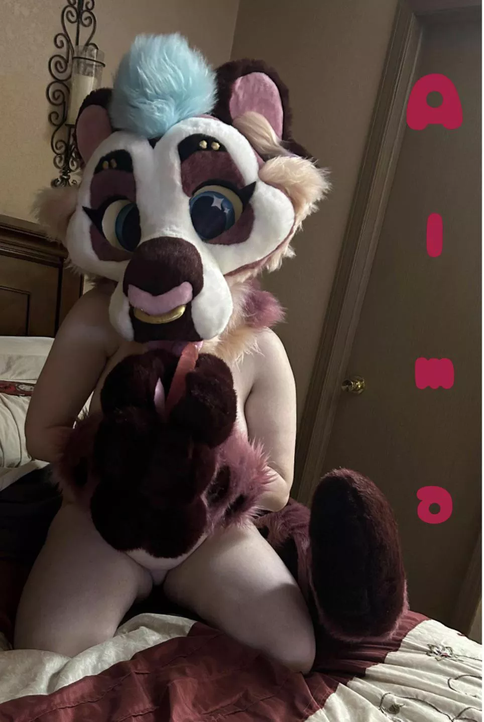 Alma says hello!~ give her a lil wave~ posted by Pumagal