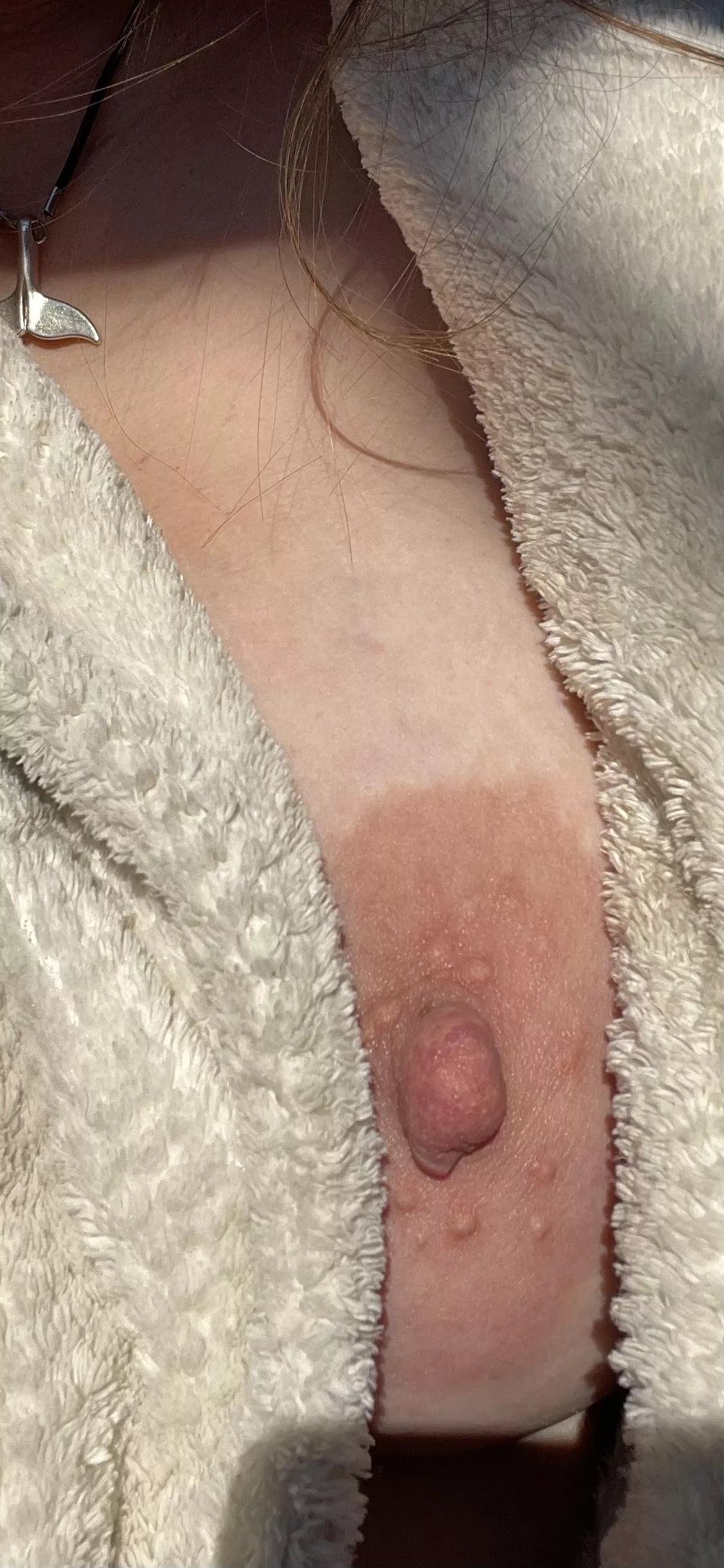 Big enough for my neighbours to see? posted by NeighborhoodFalse544