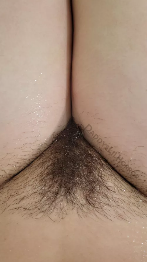 Close Up of My Fur by DaddysLilHorror