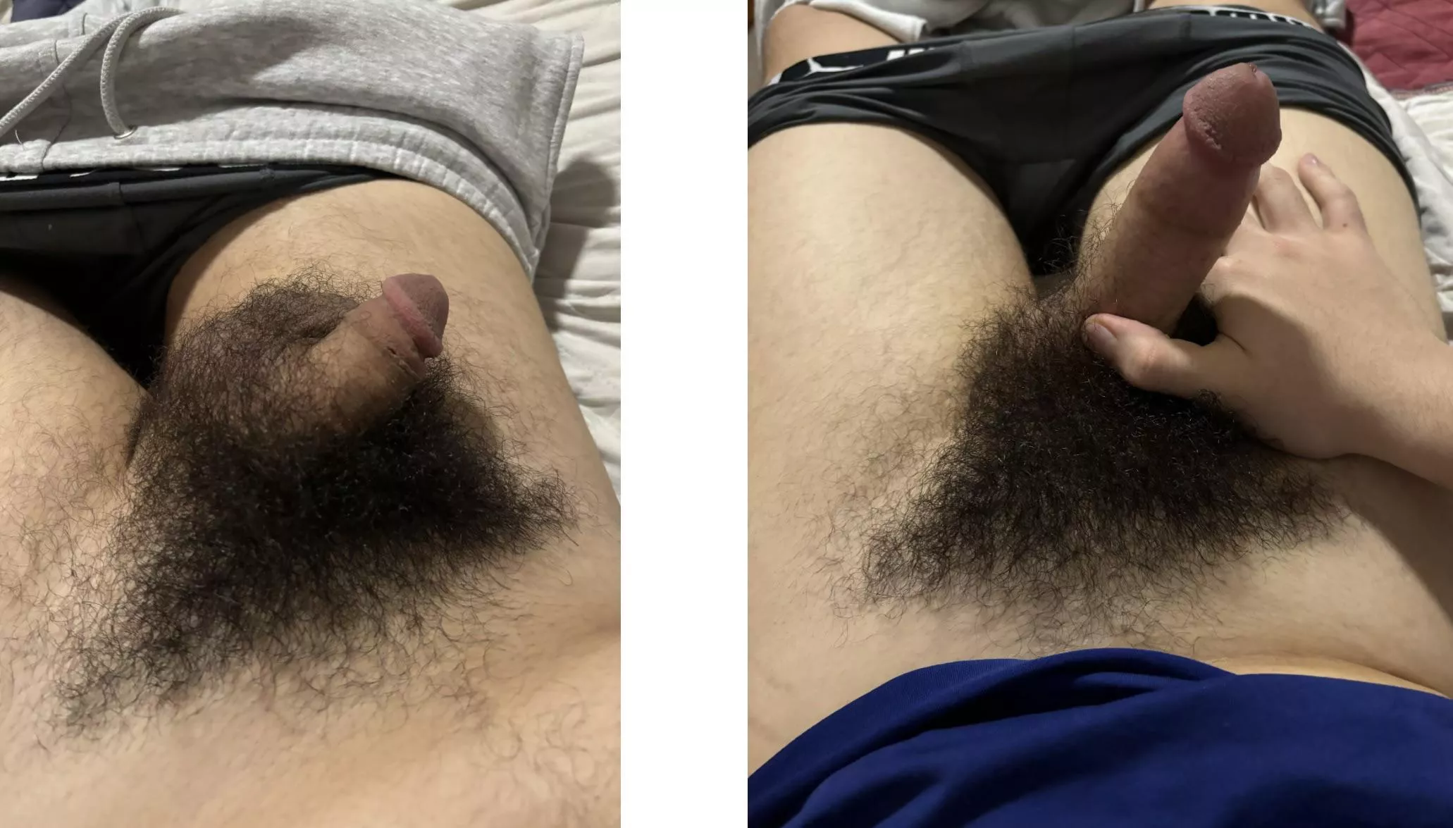 Grower? posted by da_homo_boy