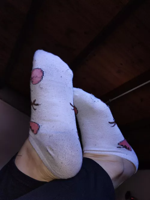 How dirty do you think my shoes are? by Beautiful_Cell_1056