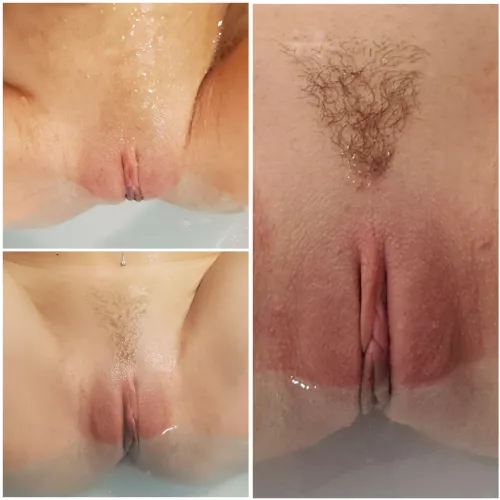 The first is bare, the second has fuzz. The 3rd, is it good, or does it need a little buzz? by FoxicCanvas