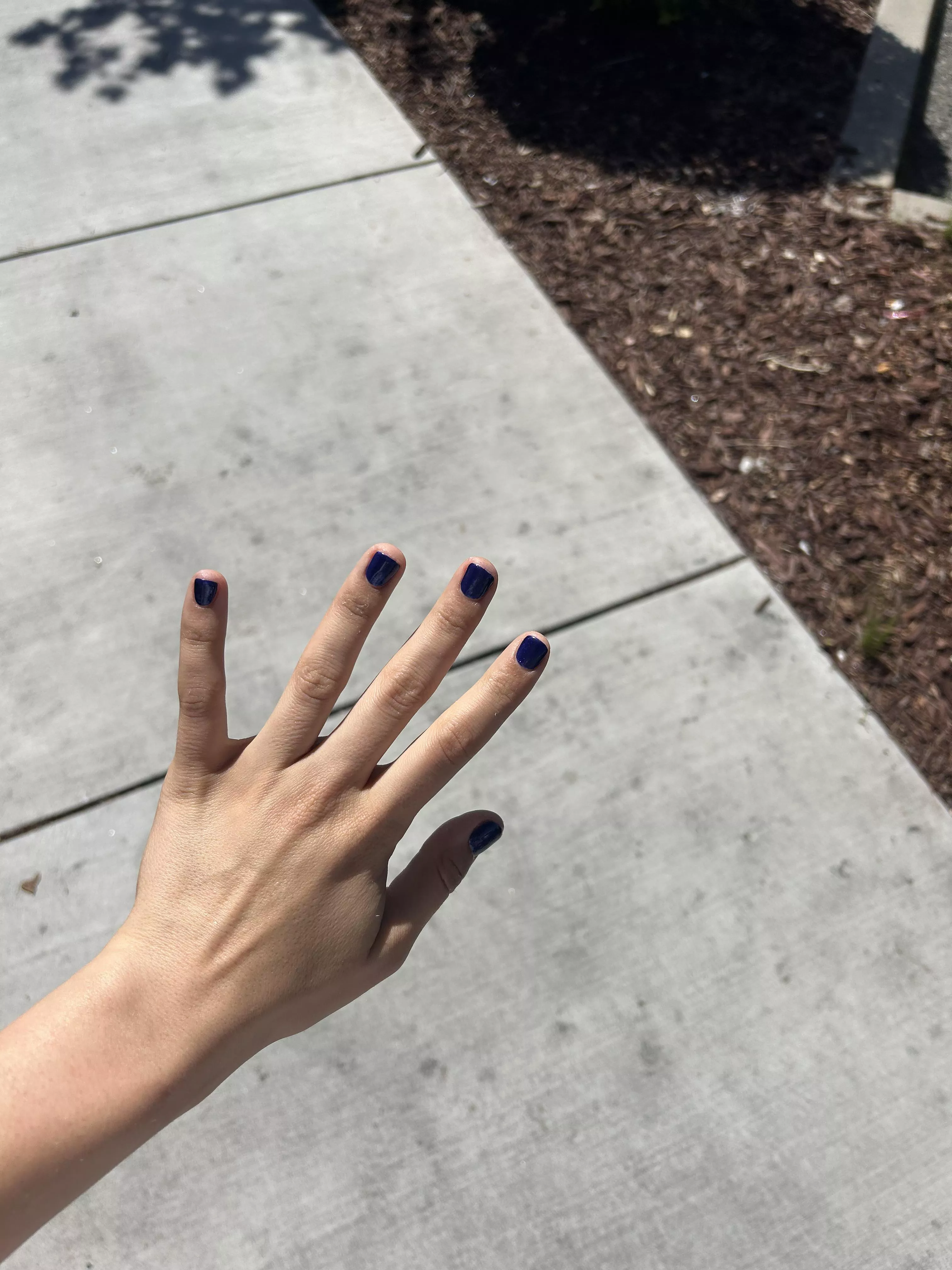 what do y'all think? posted by ShiftAccomplished579